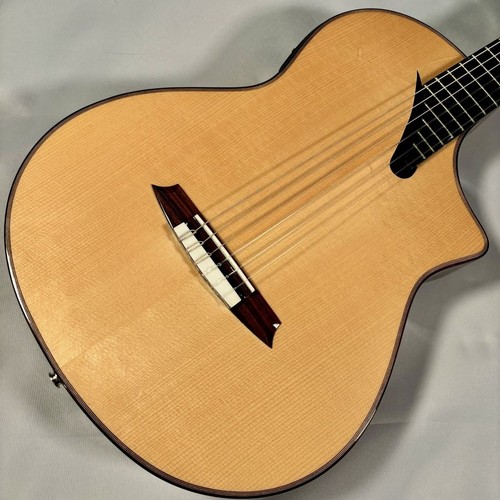 Guitare électro acoustique - guitare, électro-acoustique