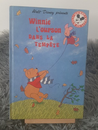 Winnie ourson dans la - winnie,