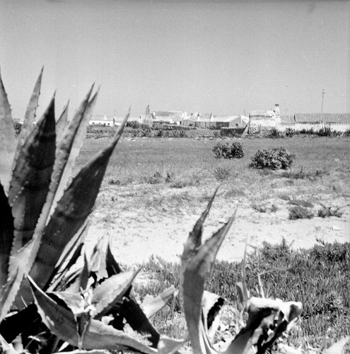 Portugal 1950 vue - 1950, le