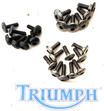 Triumph Daytona 955i Ss