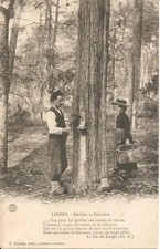 CPA animée voyagée Résinier