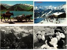 "BERNARD GRANGE" PHOTOGRAPHY