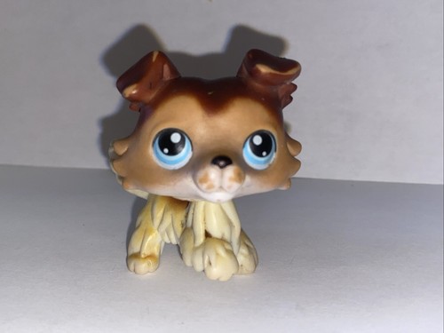 Petshop chien colley 58 - colley,