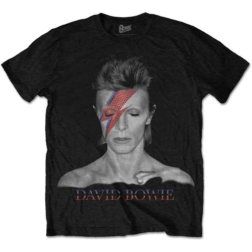 David bowie aladdin sane - aladdin,