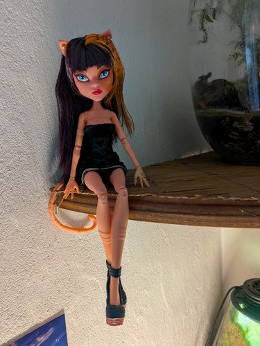 Poupée monster high - poupée,