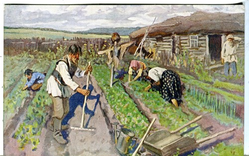 Russie légumes jardin travail - légumes,
