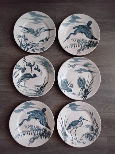 Assiette plate oiseaux - plate, terre