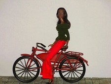 Bicyclette avec planche de