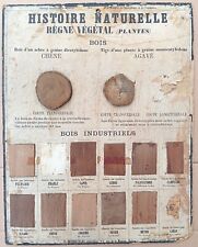 ✶RARE✶ Très ancienne affiche scolaire Deyrolle (Monnaie) 1860 - Plantes, le bois