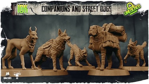 Pack compagnon des - pack,