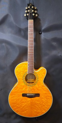 Samick greg bennett design - bennett,