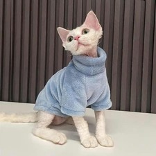 Vêtements d'hiver pour chats
