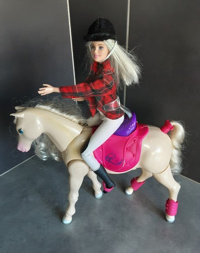 Ensemble cheval marche hennie - cheval,