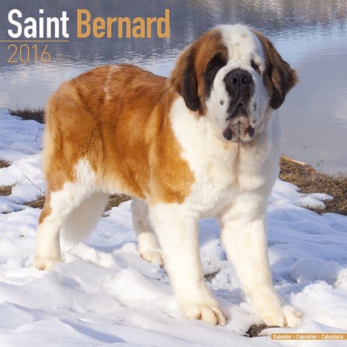 Calendrier 2016 - ,