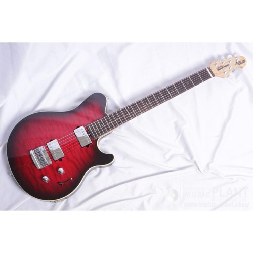 Guitare ernie ball - guitare, man