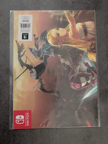 Poster bonus hyrule warriors - poster,
