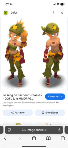 Compte dofus sacrieur ecaflip - dofus,