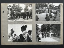 Lot de 12 anciennes PHOTOS