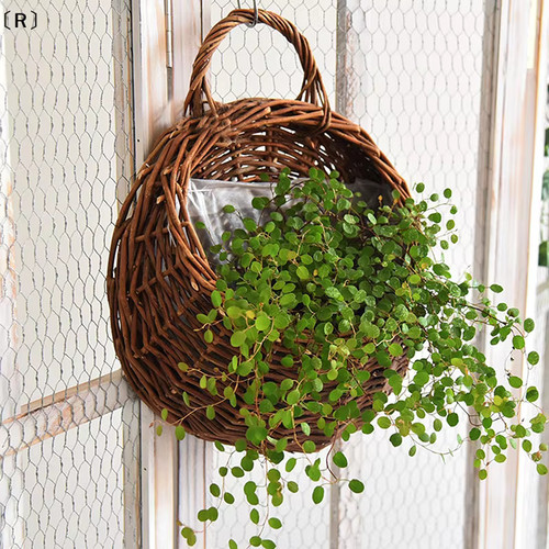 Panier rotin tressé - panier,