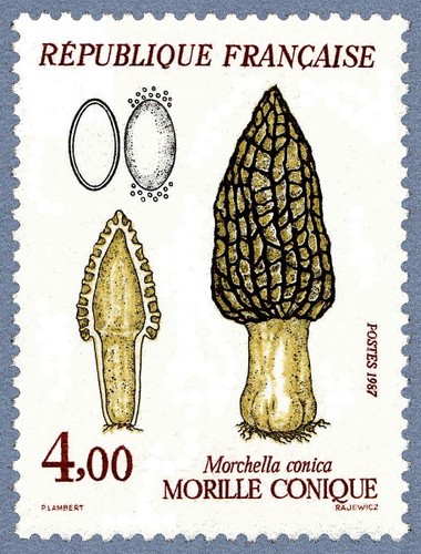 Timbre 1987 nature - de,