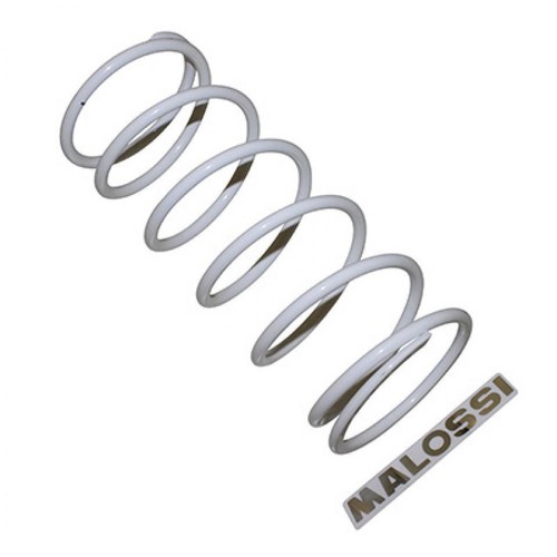 Ressort embrayage malossi - ressort,