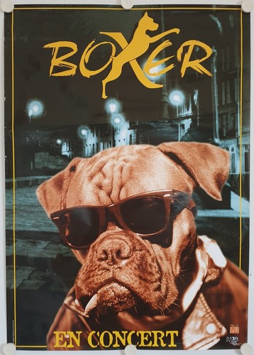 Affiche groupe hard rock boxer - groupe,