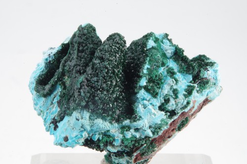 Chrysocolle malachite congo - malachite,,