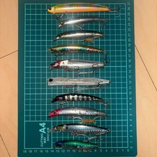 Lot de 10 leurres de bar