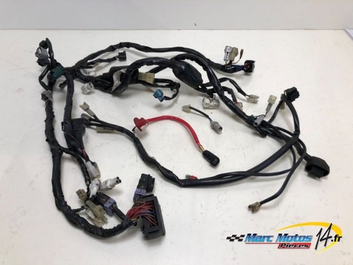 Faisceau yamaha mt03 660 2006 - mt03,