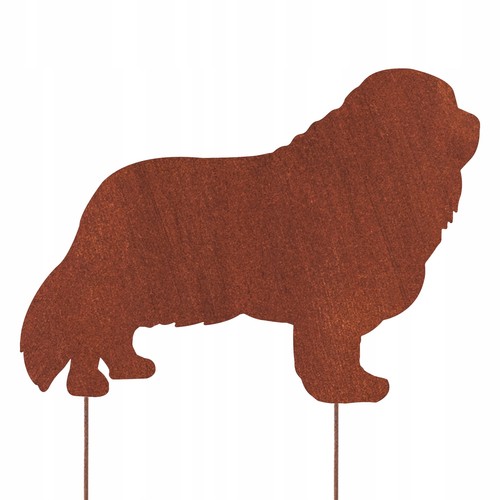 Cavalier king charles - , spaniel