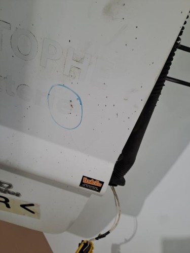 Porte coffre droit fiat - de,
