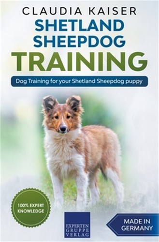 Shetland sheepdog training - sheepdog,