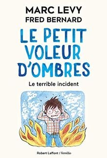 Petit voleur dombres vol - le,