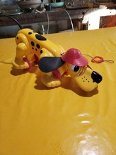 Chien A Trainer Rufo