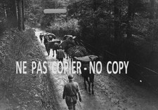 REPRO :  LA SCHLUCHT : Attelages de ravitaillement - WW1 - 1917