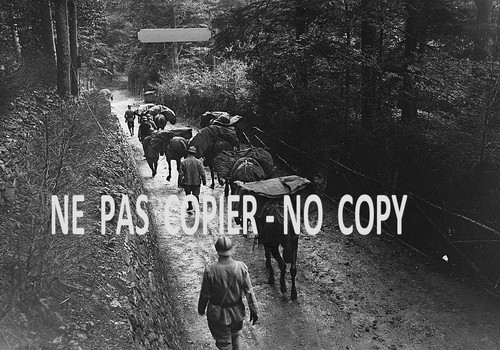 Repro la schlucht - repro, :