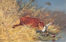 CPA FANTAISIE AFRIQUE LEOPARD