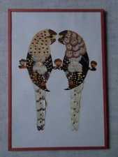 CADRE SOUS VERRE 2 PERROQUETS EN  AILES DE PAPILLONS