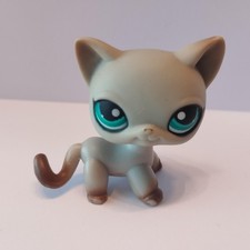 figurine PETSHOP  original  chat europeen short hair 391  pet shop LPS