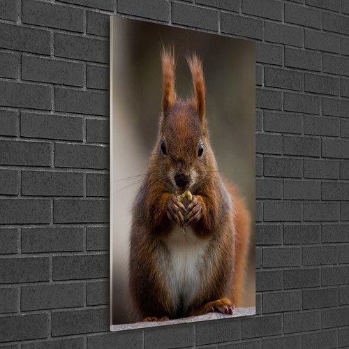 Tulup image sur - image,