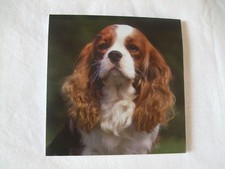 Carnet aimanté à feuilles -