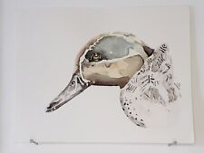 Sarcelle d'hiver AQUARELLE ORIGINALE Portrait d'oiseau Peinture Canard