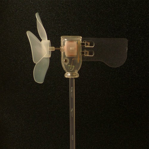 Petite éolienne génératrice