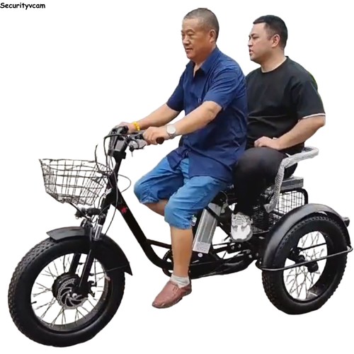 Tricycle électrique 20 - de,