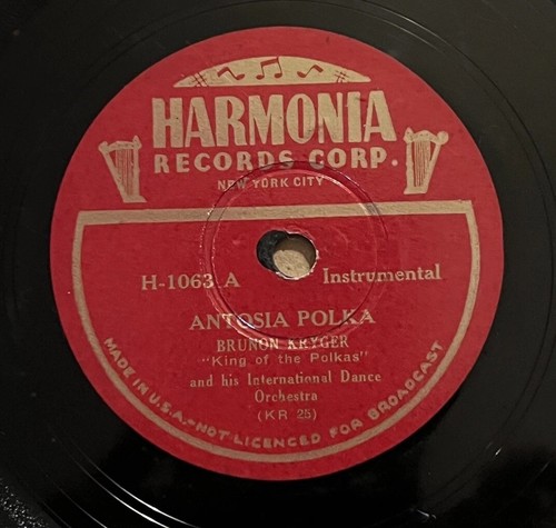 Brunon kryger antosia polka - brunon,