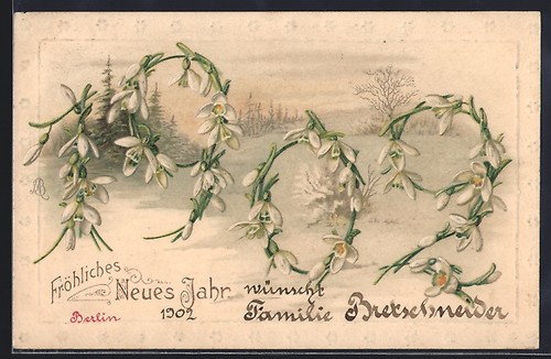 Année 1902 perce neige - année,