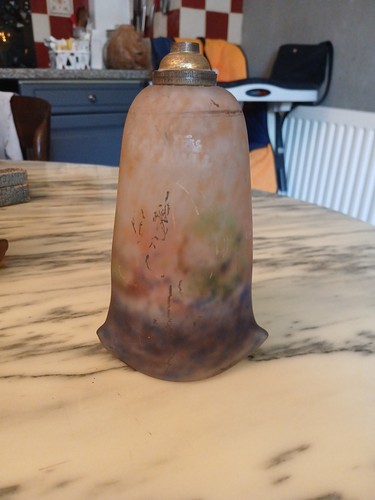 Tulipe muller lustre - tulipe, muller-lustre