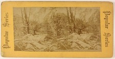 Paysage Arbres Photo Stereo PL55L3n Vintage Albumine c1890