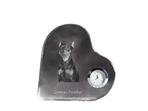 Allemande pinscher - allemande,