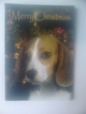 CARTE DE VOEUX BEAGLE MERRY
